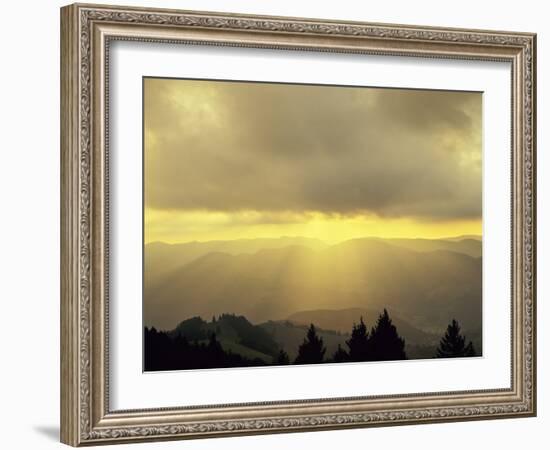 Sunrise on Belchen Mountain, Black Forest, Baden Wurttemberg, Germany, Europe-Marcus Lange-Framed Photographic Print