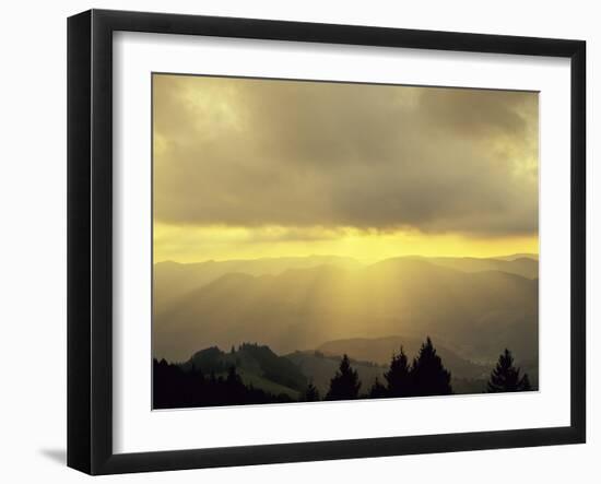 Sunrise on Belchen Mountain, Black Forest, Baden Wurttemberg, Germany, Europe-Marcus Lange-Framed Photographic Print