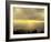 Sunrise on Belchen Mountain, Black Forest, Baden Wurttemberg, Germany, Europe-Marcus Lange-Framed Photographic Print