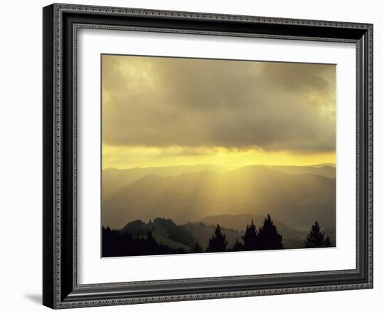 Sunrise on Belchen Mountain, Black Forest, Baden Wurttemberg, Germany, Europe-Marcus Lange-Framed Photographic Print