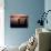 Sunrise on Boats, New Hampshire, USA-Jerry & Marcy Monkman-Photographic Print displayed on a wall