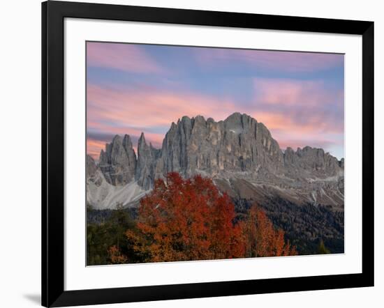 Sunrise on Catinaccio Rosengarten and Torri Del Vajolet in autumn, Tires Valley, Dolomites, South T-Roberto Moiola-Framed Photographic Print