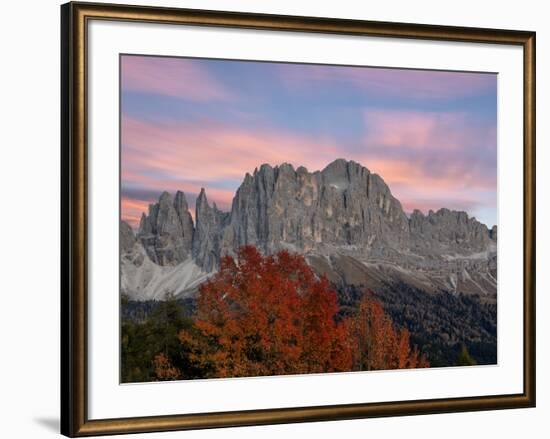 Sunrise on Catinaccio Rosengarten and Torri Del Vajolet in autumn, Tires Valley, Dolomites, South T-Roberto Moiola-Framed Photographic Print