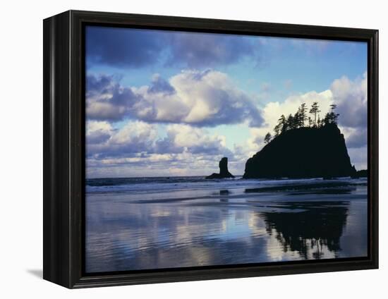 Sunrise on coast, Olympic National Park, Washington, USA-Charles Gurche-Framed Premier Image Canvas