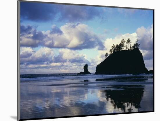 Sunrise on coast, Olympic National Park, Washington, USA-Charles Gurche-Mounted Photographic Print