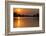 Sunrise on Cuiaba River, Northern Pantanal, Mato Grosso, Brazil-Pete Oxford-Framed Photographic Print