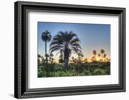 Sunrise on El Palmar National Park, Argentina-Anibal Trejo-Framed Photographic Print