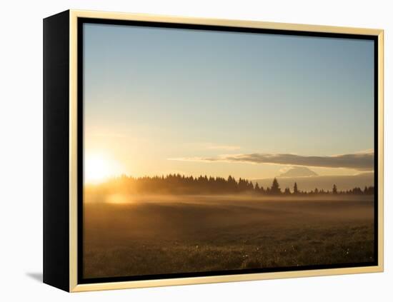 Sunrise on Field of Green Grass with Douglas Firs and Mount Rainier, Vashon Island, Washington, USA-Aaron McCoy-Framed Premier Image Canvas