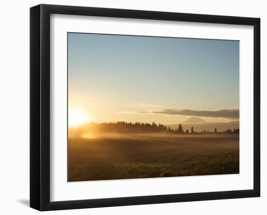 Sunrise on Field of Green Grass with Douglas Firs and Mount Rainier, Vashon Island, Washington, USA-Aaron McCoy-Framed Photographic Print