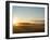 Sunrise on Field of Green Grass with Douglas Firs and Mount Rainier, Vashon Island, Washington, USA-Aaron McCoy-Framed Photographic Print