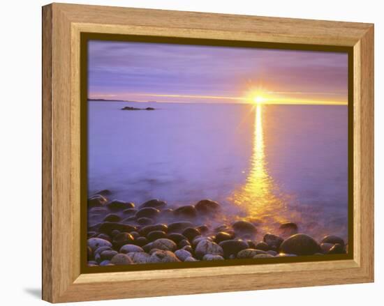 Sunrise on Fog and Shore Rocks on the Atlantic Ocean, Acadia National Park, Maine, USA-Christopher Talbot Frank-Framed Premier Image Canvas