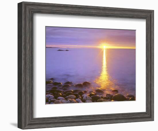 Sunrise on Fog and Shore Rocks on the Atlantic Ocean, Acadia National Park, Maine, USA-Christopher Talbot Frank-Framed Photographic Print