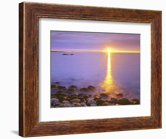 Sunrise on Fog and Shore Rocks on the Atlantic Ocean, Acadia National Park, Maine, USA-Christopher Talbot Frank-Framed Photographic Print