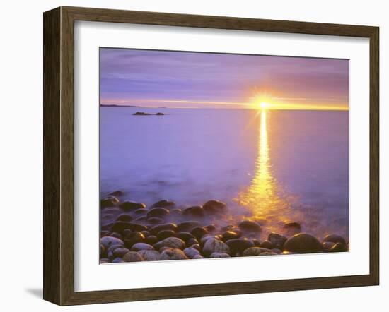 Sunrise on Fog and Shore Rocks on the Atlantic Ocean, Acadia National Park, Maine, USA-Christopher Talbot Frank-Framed Photographic Print