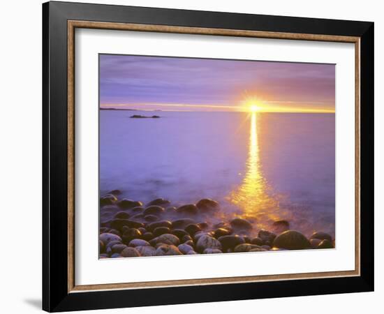 Sunrise on Fog and Shore Rocks on the Atlantic Ocean, Acadia National Park, Maine, USA-Christopher Talbot Frank-Framed Photographic Print