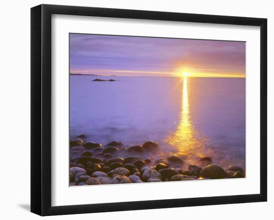 Sunrise on Fog and Shore Rocks on the Atlantic Ocean, Acadia National Park, Maine, USA-Christopher Talbot Frank-Framed Photographic Print