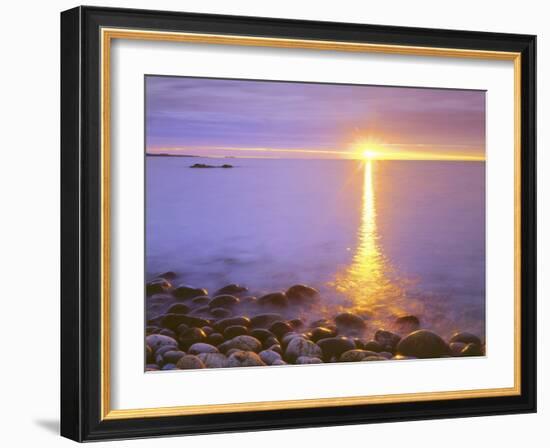 Sunrise on Fog and Shore Rocks on the Atlantic Ocean, Acadia National Park, Maine, USA-Christopher Talbot Frank-Framed Photographic Print