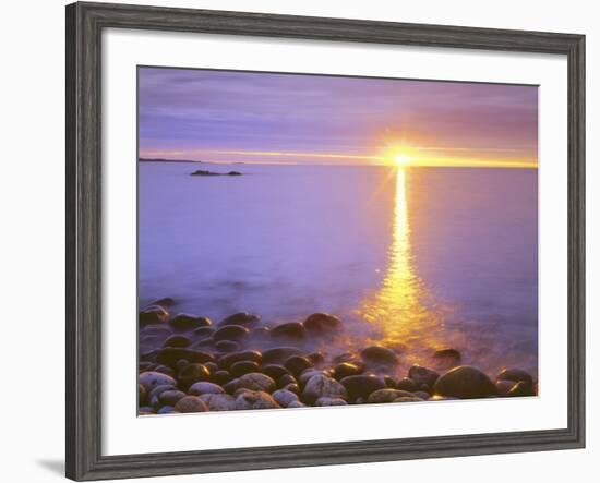 Sunrise on Fog and Shore Rocks on the Atlantic Ocean, Acadia National Park, Maine, USA-Christopher Talbot Frank-Framed Photographic Print