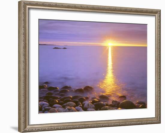 Sunrise on Fog and Shore Rocks on the Atlantic Ocean, Acadia National Park, Maine, USA-Christopher Talbot Frank-Framed Photographic Print