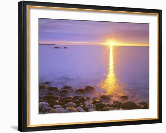 Sunrise on Fog and Shore Rocks on the Atlantic Ocean, Acadia National Park, Maine, USA-Christopher Talbot Frank-Framed Photographic Print