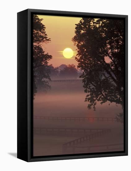 Sunrise on Horse Rarm, Lexington, Kentucky, USA-Adam Jones-Framed Premier Image Canvas