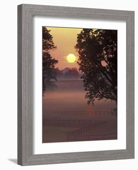 Sunrise on Horse Rarm, Lexington, Kentucky, USA-Adam Jones-Framed Photographic Print