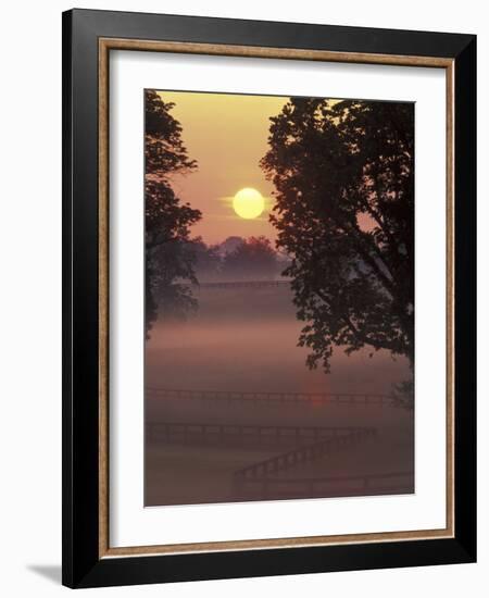 Sunrise on Horse Rarm, Lexington, Kentucky, USA-Adam Jones-Framed Photographic Print