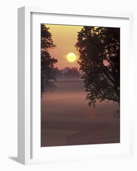 Sunrise on Horse Rarm, Lexington, Kentucky, USA-Adam Jones-Framed Photographic Print