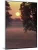 Sunrise on Horse Rarm, Lexington, Kentucky, USA-Adam Jones-Mounted Photographic Print