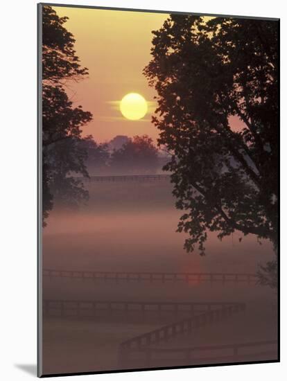 Sunrise on Horse Rarm, Lexington, Kentucky, USA-Adam Jones-Mounted Photographic Print