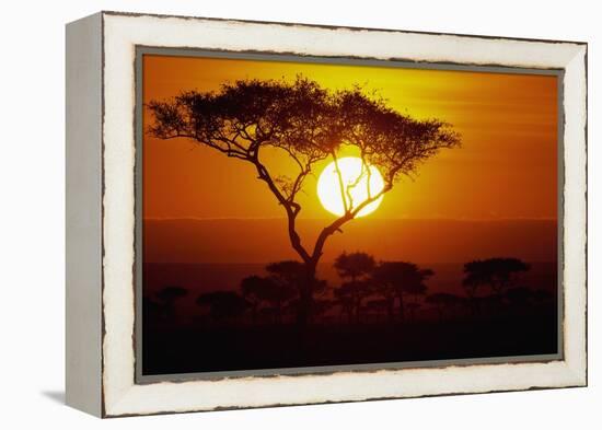 Sunrise on Masai Mara National Reserve-null-Framed Premier Image Canvas