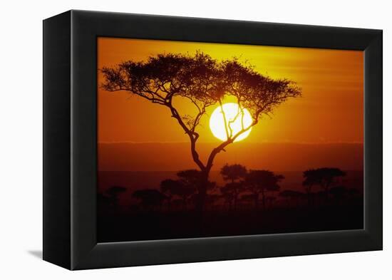 Sunrise on Masai Mara National Reserve-null-Framed Premier Image Canvas