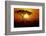 Sunrise on Masai Mara National Reserve-null-Framed Photographic Print