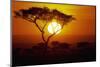 Sunrise on Masai Mara National Reserve-null-Mounted Photographic Print