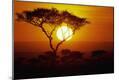 Photographic Print