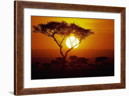 Sunrise on Masai Mara National Reserve-null-Framed Photographic Print