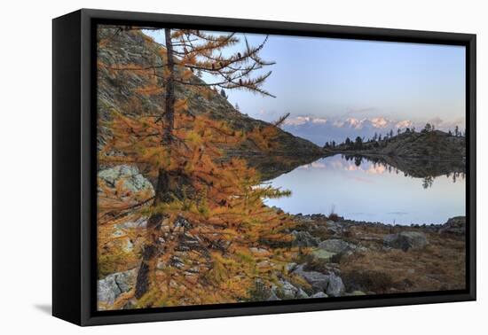 Sunrise on Mount Rosa Seen from Lac Blanc-Roberto Moiola-Framed Premier Image Canvas