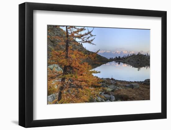 Sunrise on Mount Rosa Seen from Lac Blanc-Roberto Moiola-Framed Photographic Print