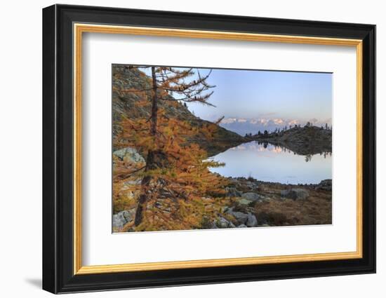 Sunrise on Mount Rosa Seen from Lac Blanc-Roberto Moiola-Framed Photographic Print