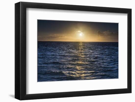 Sunrise on the Tropical, Pacific Island of Rarotonga, Cook Islands, South Pacific, Pacific-Matthew Williams-Ellis-Framed Photographic Print