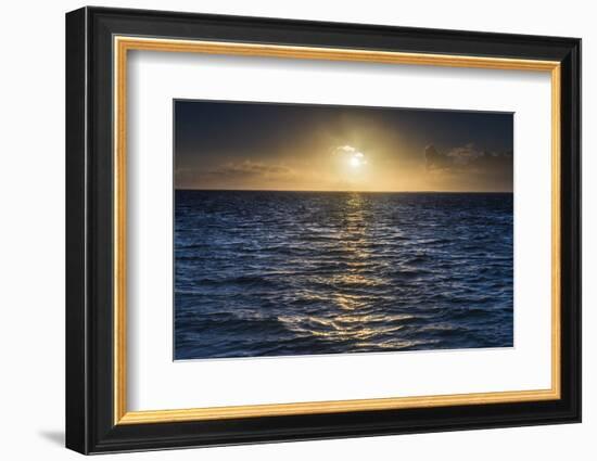 Sunrise on the Tropical, Pacific Island of Rarotonga, Cook Islands, South Pacific, Pacific-Matthew Williams-Ellis-Framed Photographic Print