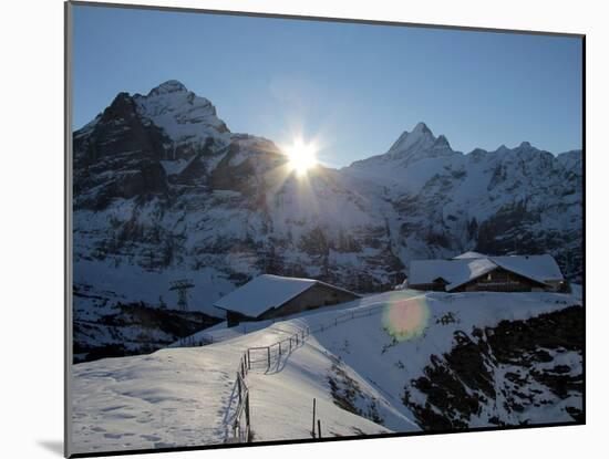 Sunrise on the Wetterhorn, Seen from First, Grindelwald, Bernese Oberland, Swiss Alps, Switzerland,-Hans Peter Merten-Mounted Photographic Print