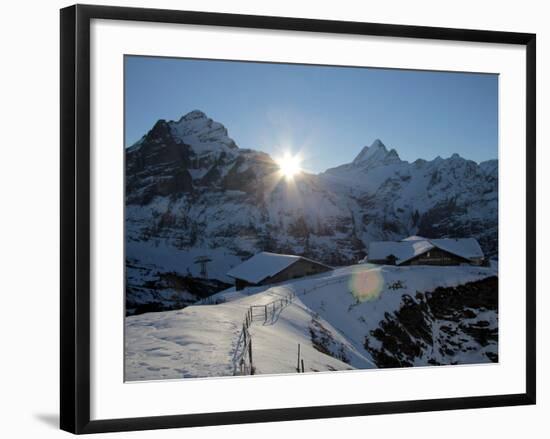 Sunrise on the Wetterhorn, Seen from First, Grindelwald, Bernese Oberland, Swiss Alps, Switzerland,-Hans Peter Merten-Framed Photographic Print