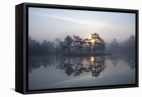 Sunrise over a Lake in Light Mist, Bergslagen, Sweden, April 2009-Cairns-Framed Premier Image Canvas