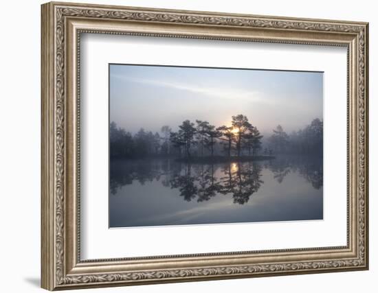 Sunrise over a Lake in Light Mist, Bergslagen, Sweden, April 2009-Cairns-Framed Photographic Print