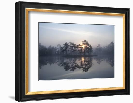 Sunrise over a Lake in Light Mist, Bergslagen, Sweden, April 2009-Cairns-Framed Photographic Print