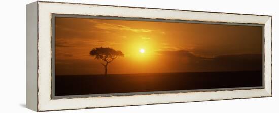 Sunrise over a Landscape, Masai Mara National Reserve, Kenya-null-Framed Premier Image Canvas