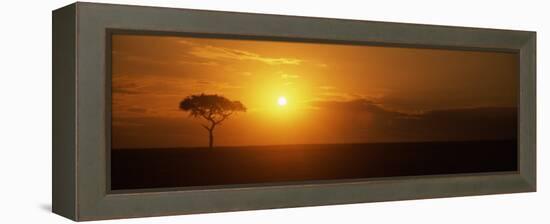 Sunrise over a Landscape, Masai Mara National Reserve, Kenya-null-Framed Premier Image Canvas