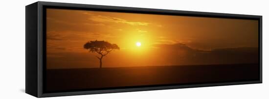 Sunrise over a Landscape, Masai Mara National Reserve, Kenya-null-Framed Premier Image Canvas