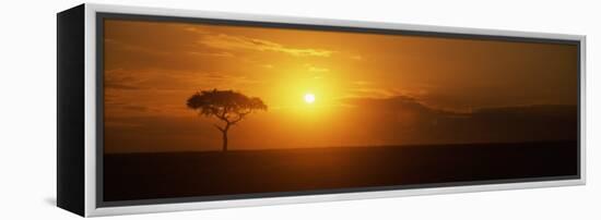 Sunrise over a Landscape, Masai Mara National Reserve, Kenya-null-Framed Premier Image Canvas